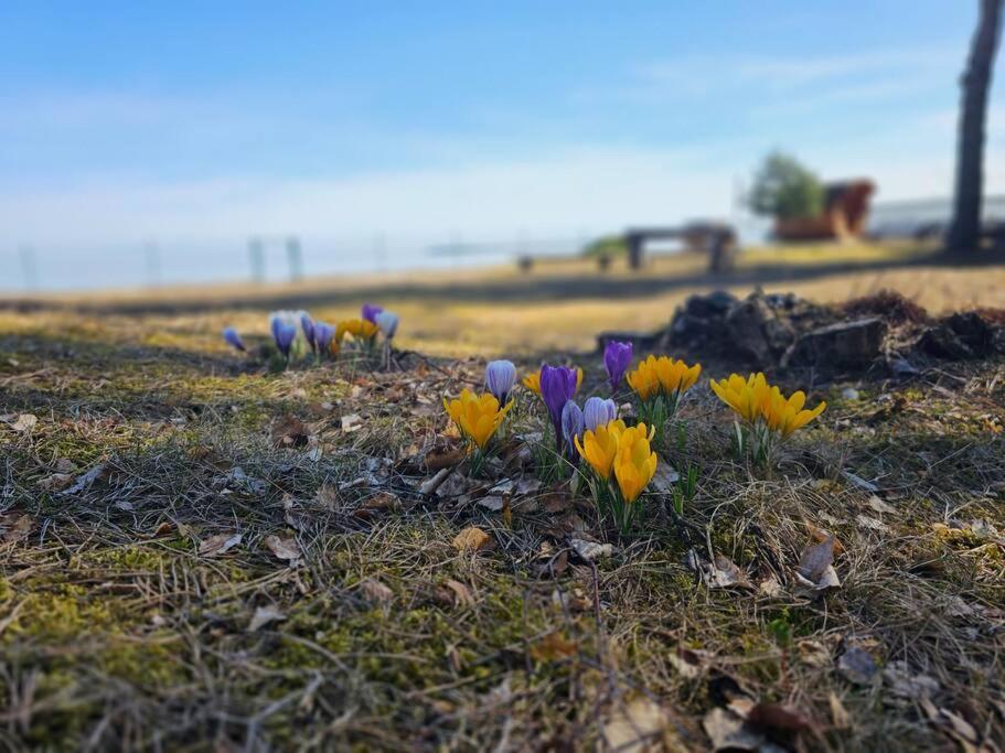 Rannamaja Kumblustunni & Saunaga Haapse Buitenkant foto